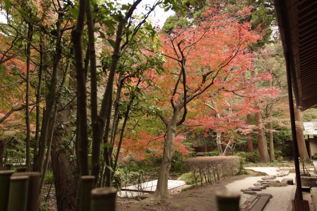 鎌倉 明月院の庭園入り口