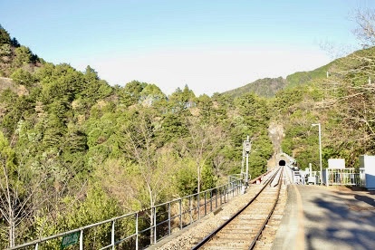 奥大井湖上駅のハームから見る線路