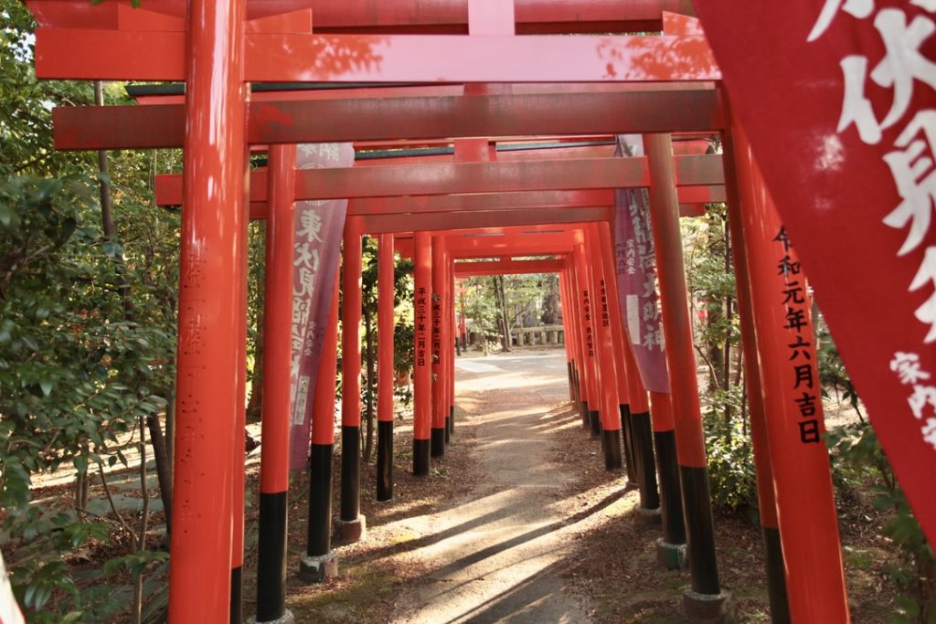 Senbon Torii gates at Higashi-Fushimi Inari Shrine