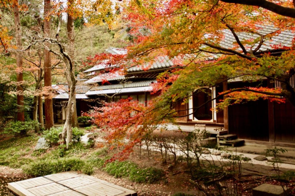 鎌倉 明月院の庭園