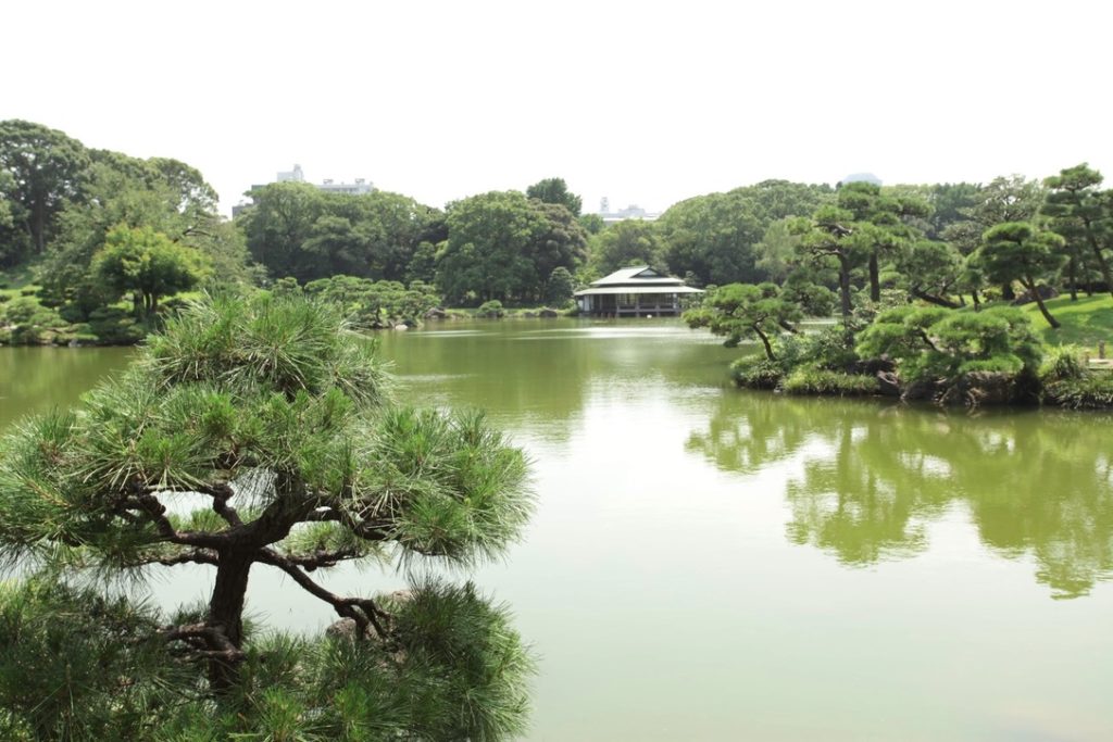 Izumi water in Kiyosumi Garden
